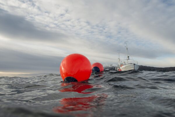Polyform buoy floats-maru-watersport