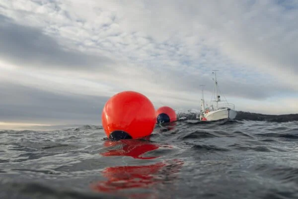 Polyform buoy floats-maru-watersport