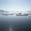 Polyform anchor buoy Aqua-series foamed - Image 10
