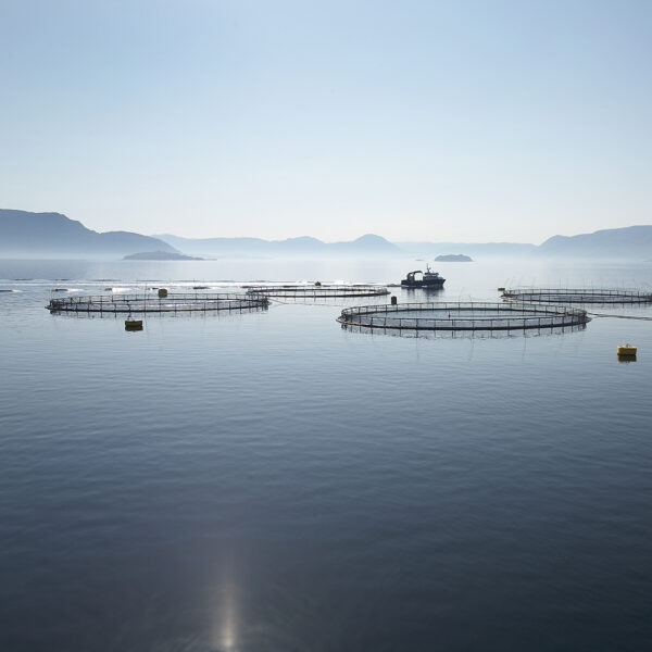 Polyform anchor buoy Aqua-series foamed - Image 10